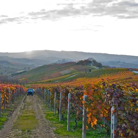 Mario & Mario