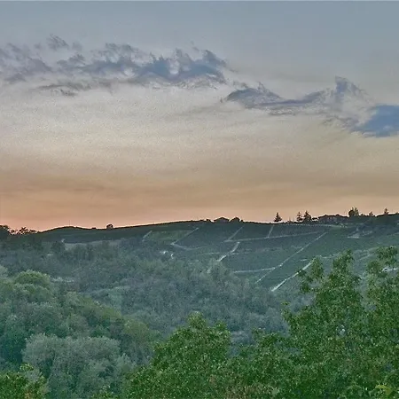 Mario & Mario Landsted Trezzo Tinella